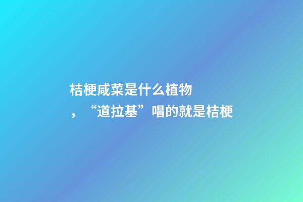 桔梗咸菜是什么植物，“道拉基”唱的就是桔梗-第1張-觀點-玄機派